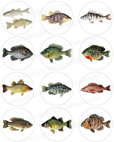 Fische tortenbild party - fische,